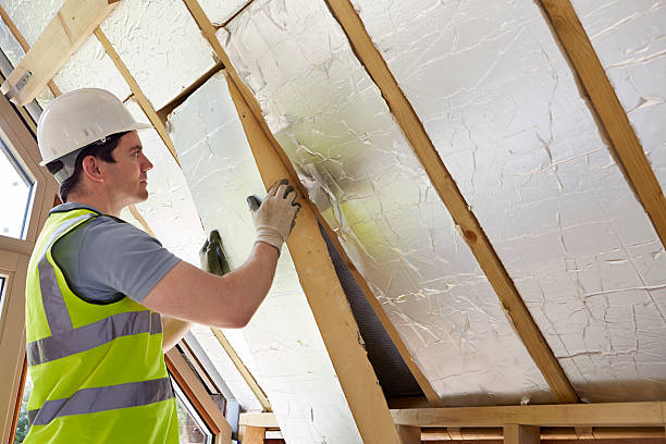 Best Insulation Inspection Services  in USA